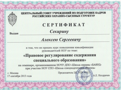 Сертификат Секирину А.С. 2013г.
